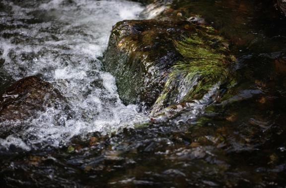 Water Source at Slane Distillery