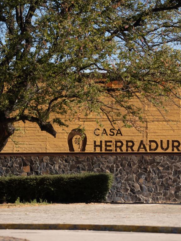 Casa Herradura Homeplace