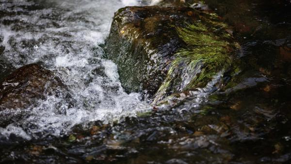 Water Source at Slane Distillery